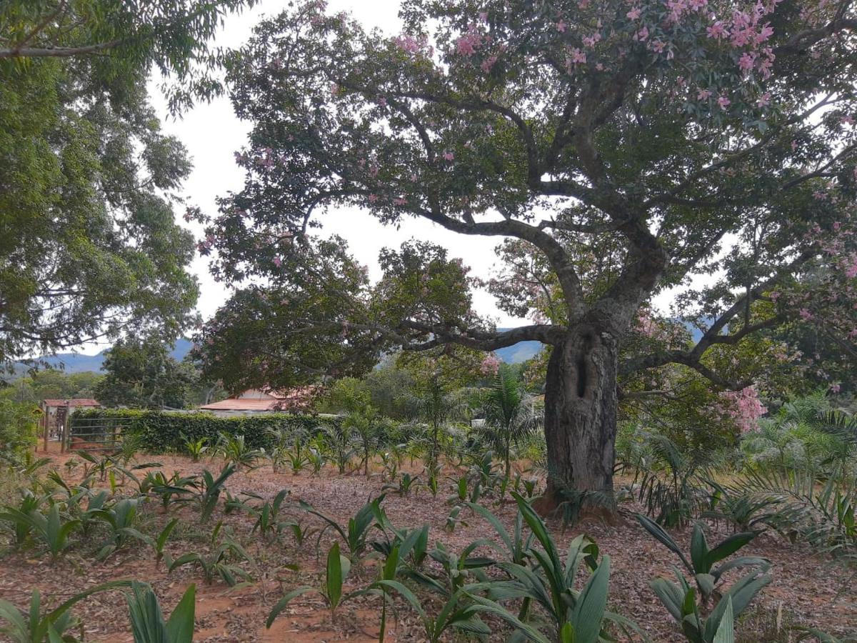 Chale Veredas E Buritis Pirenopolis Bagian luar foto