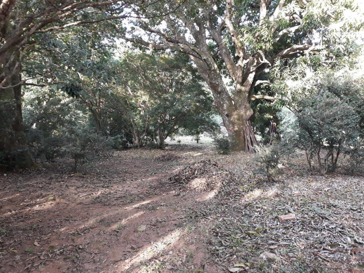 Chale Veredas E Buritis Pirenopolis Bagian luar foto