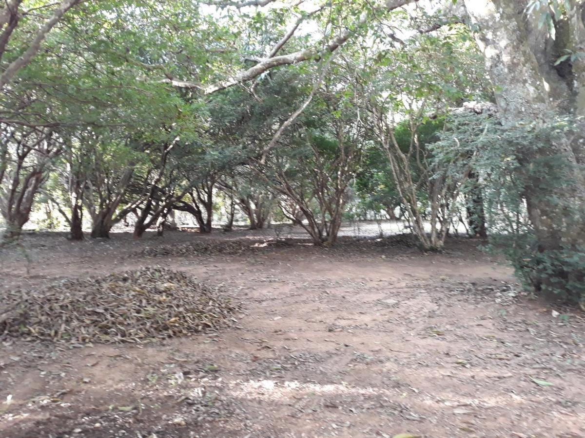 Chale Veredas E Buritis Pirenopolis Bagian luar foto