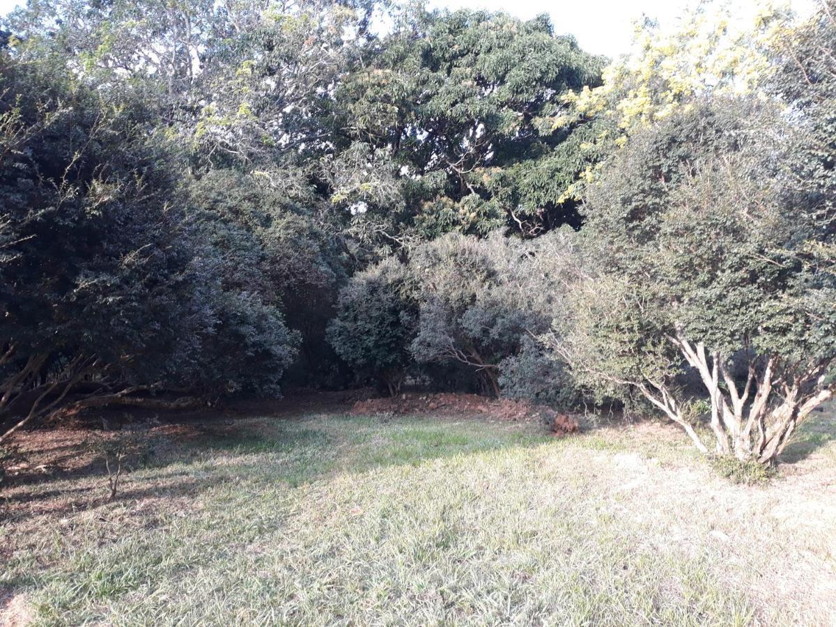Chale Veredas E Buritis Pirenopolis Bagian luar foto