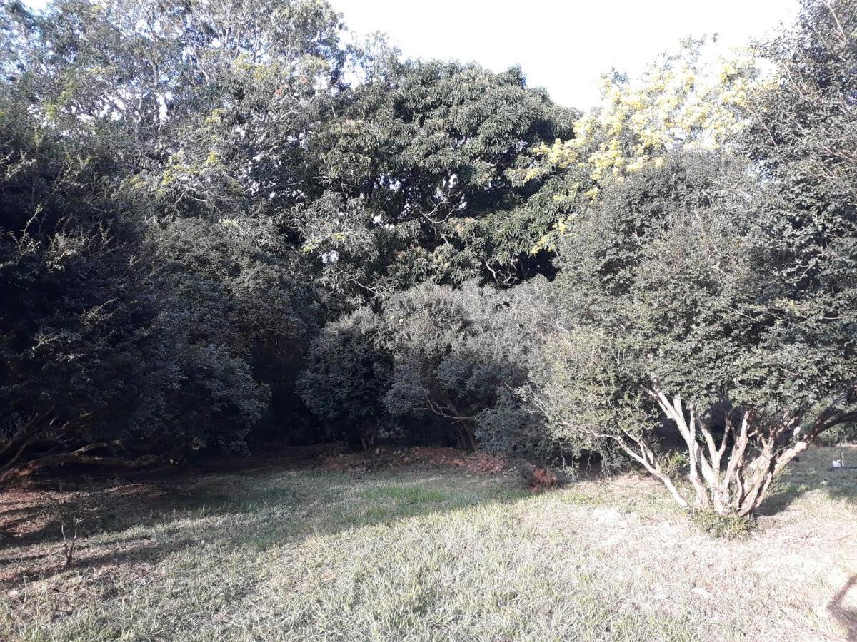 Chale Veredas E Buritis Pirenopolis Bagian luar foto